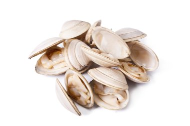 Seafish, istiridye