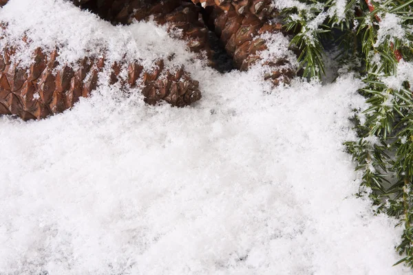 雪 — 图库照片