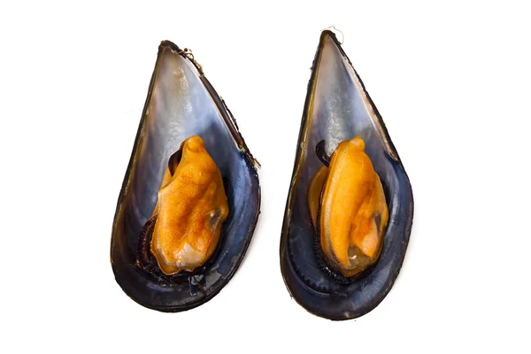 Cozze — Foto Stock