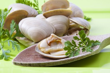 Deniz ürünleri, istiridye