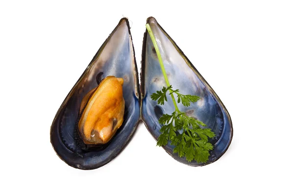 Mussels, food — Stock Photo, Image