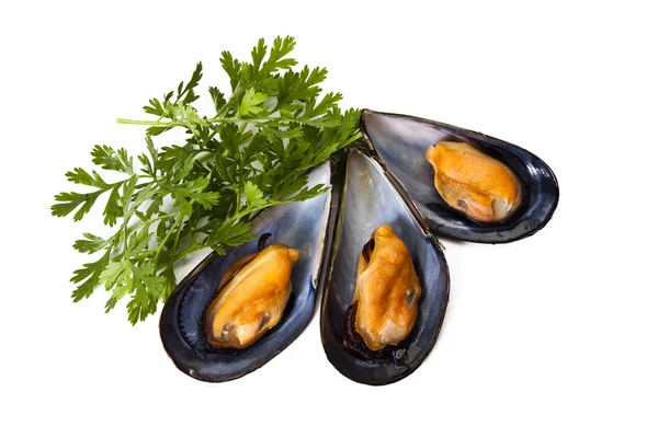 Cozze, cibo — Foto Stock