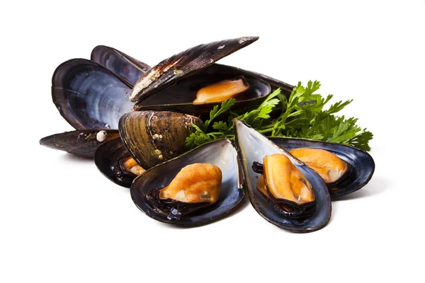 Mussels, food — Stock Photo, Image