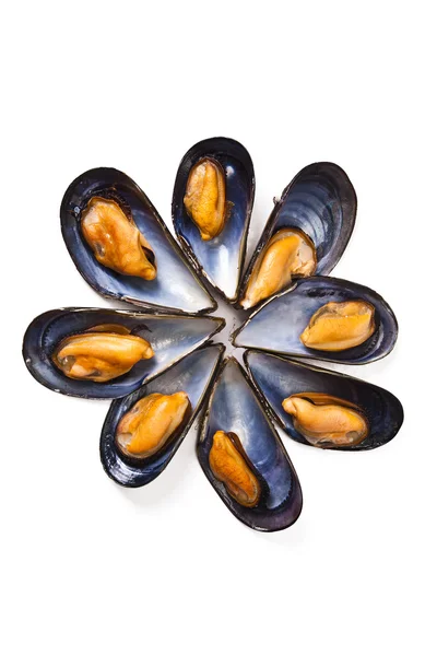 Moules, nourriture — Photo