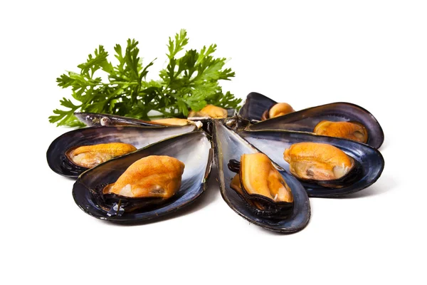Mussels, food — Stock Photo, Image