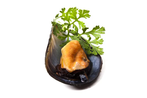 Cozze, cibo — Foto Stock