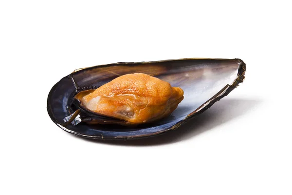 Cozze, cibo — Foto Stock