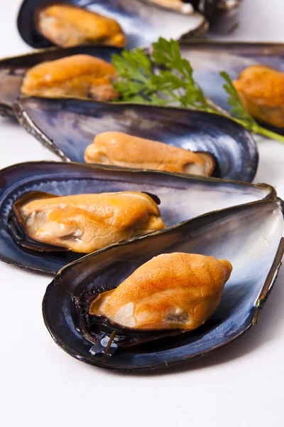 Mussels, food — Stock Photo, Image