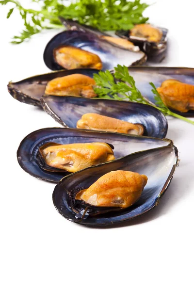 Mussels, food — Stock Photo, Image