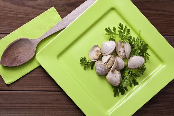 Seafood, clams — Stock Photo, Image