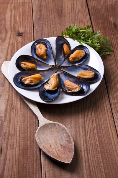 Mussels, food — Stock Photo, Image