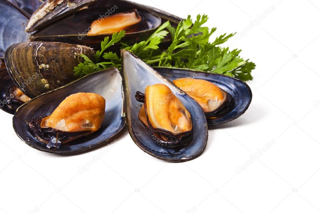 Mussels, food