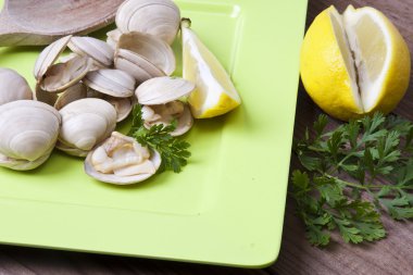 Kabuklu deniz hayvanı.