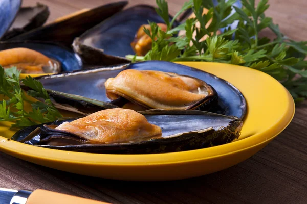 Shellfish — Stock Photo, Image