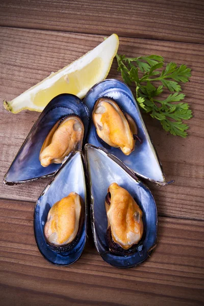 Shellfish — Stock Photo, Image