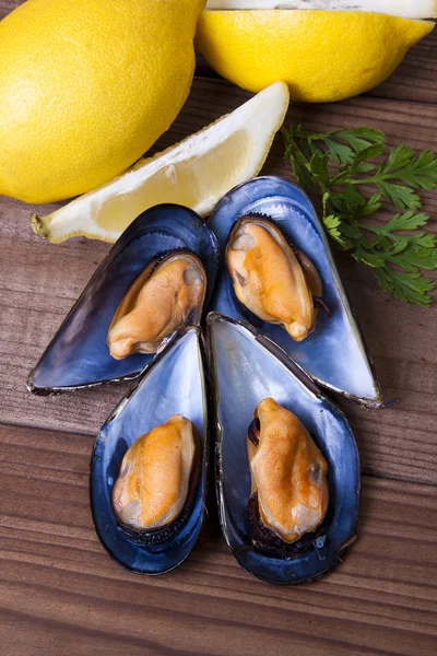 Shellfish — Stock Photo, Image