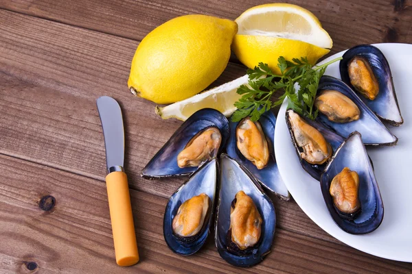 Shellfish — Stock Photo, Image