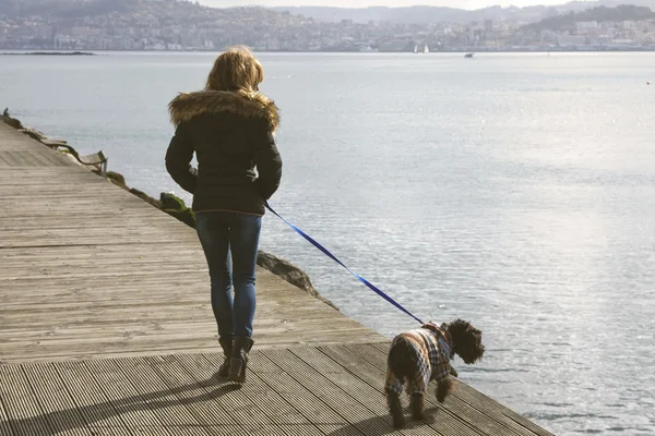 Tjej gå ut med hunden — Stockfoto