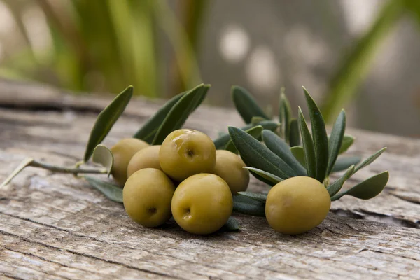 Olive con foglie di ulivo — Foto Stock