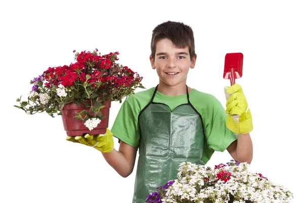 Blumen und Gartenarbeit — Stockfoto