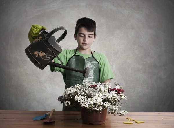 Дитина з садовими рослинами — стокове фото