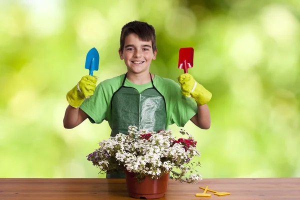 Niño con plantas de jardín —  Fotos de Stock