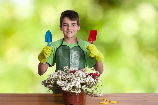 Niño con plantas de jardín —  Fotos de Stock