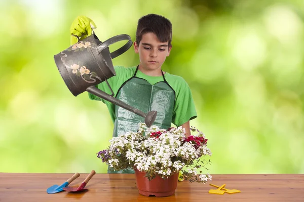 Kind mit Gartenpflanzen — Stockfoto