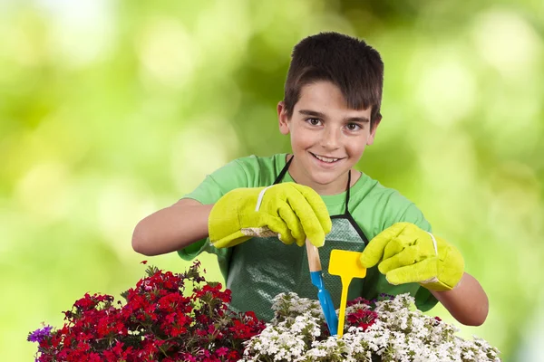 Child with garden plants — Stock Photo, Image