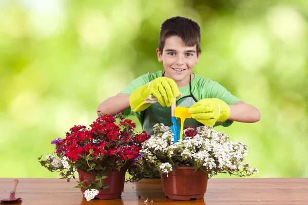 Niño con plantas de jardín —  Fotos de Stock