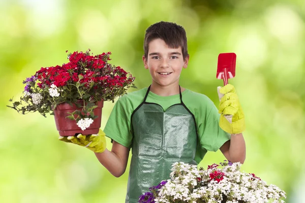 Bambino con piante da giardino — Foto Stock