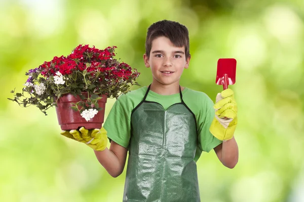 Bambino con piante da giardino — Foto Stock