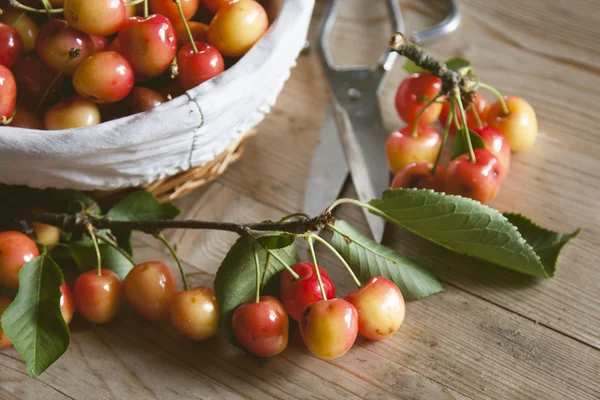 Frutos vermelhos — Fotografia de Stock