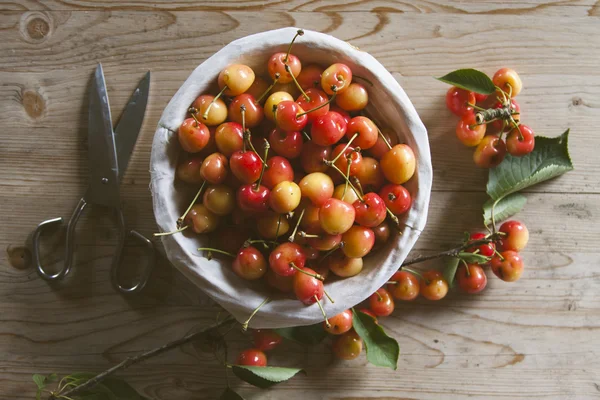 Kırmızı meyveler — Stok fotoğraf