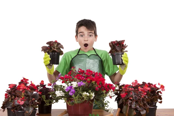 Gardening — Stock Photo, Image