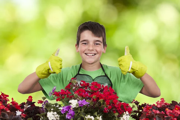 Gardening and plants — Stock Photo, Image