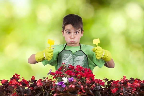 Jardinagem e plantas — Fotografia de Stock