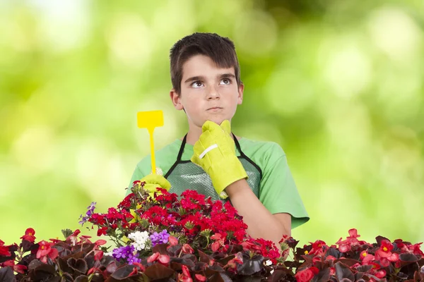 Gardening and plants — Stock Photo, Image