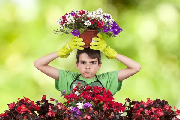 Gardening and plants — Stock Photo, Image