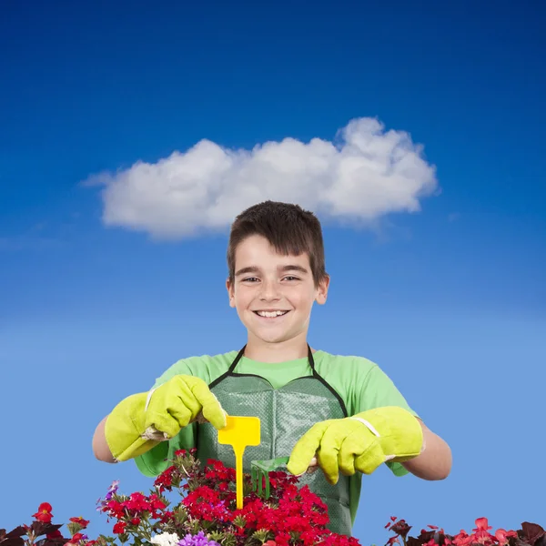 Kertészkedés — Stock Fotó