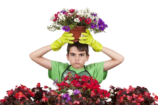 Gartenarbeit — Stockfoto