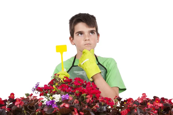 Gardening — Stock Photo, Image