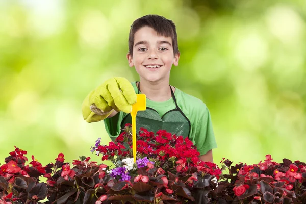 Gardening — Stock Photo, Image