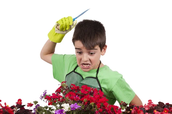 Gartenarbeit — Stockfoto