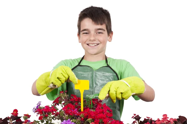 Gartenarbeit — Stockfoto