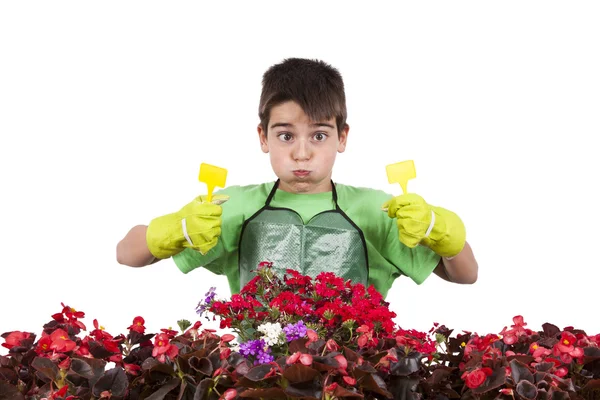 Gartenarbeit — Stockfoto