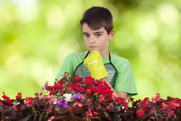 Gardening — Stock Photo, Image