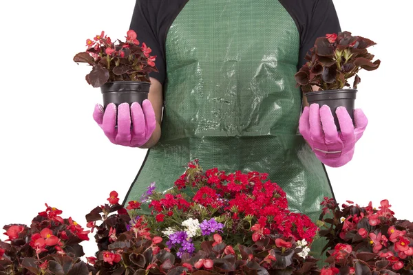 Gardener — Stock Photo, Image