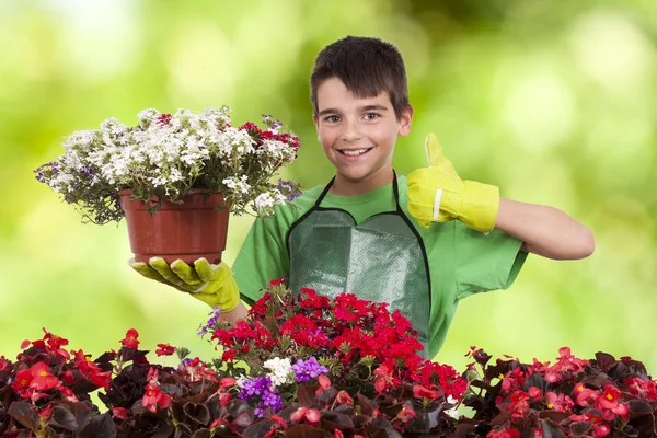 Giardinaggio — Foto Stock