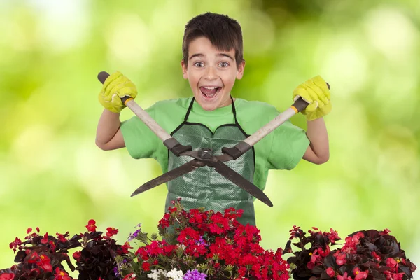 Gardening — Stock Photo, Image